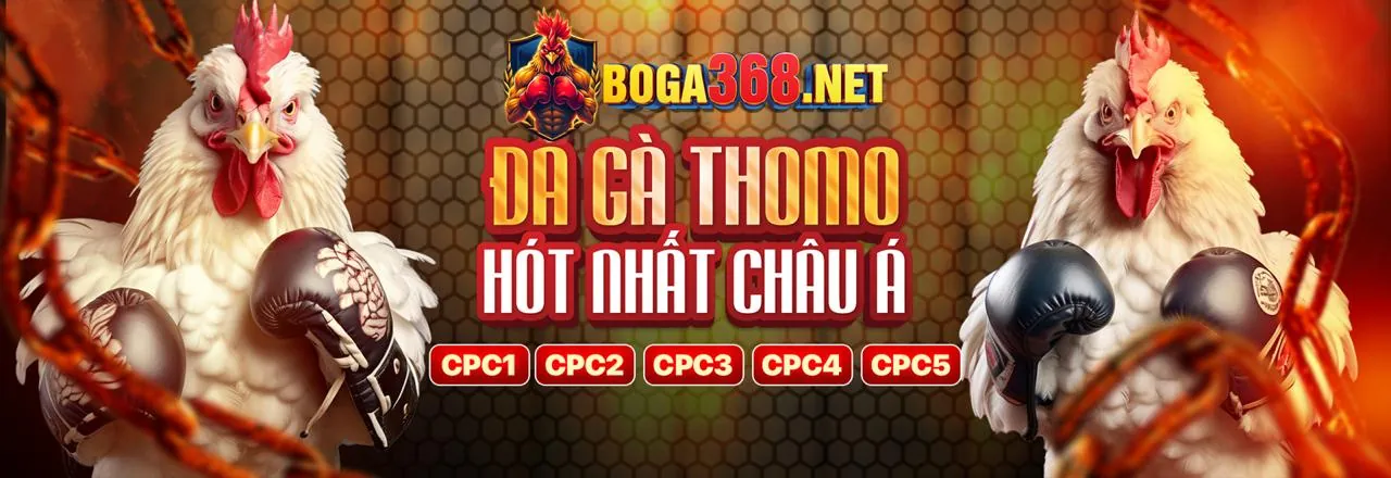Tải xuống ứng dụng 5mb code