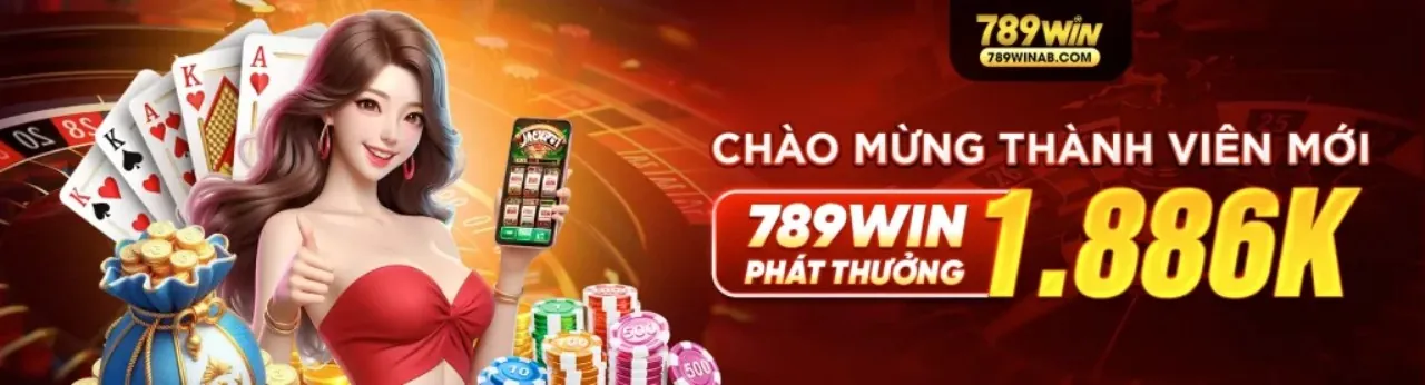 Hình ảnh giới thiệu 5mb code và hướng dẫn người mới
