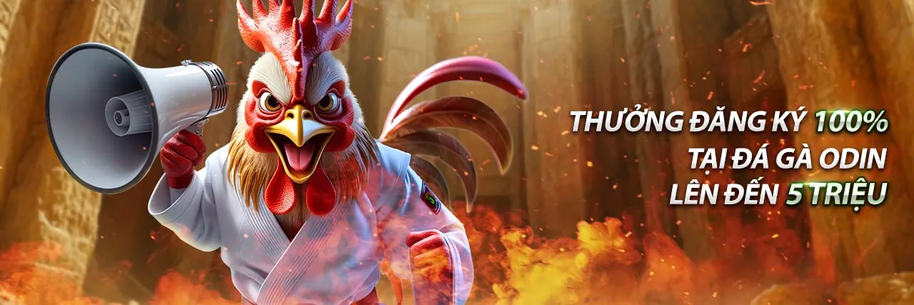 Hình ảnh chính về tối ưu hóa trải nghiệm chơi game với 5mb code